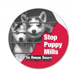 stop-puppy-mill