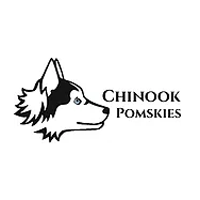 chinook-pomsky